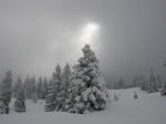 Soleil_neige_et_brouillard.gif