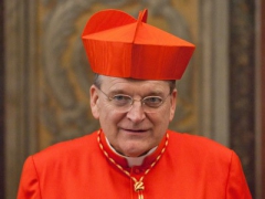 Cardinal_Burke-1.jpg